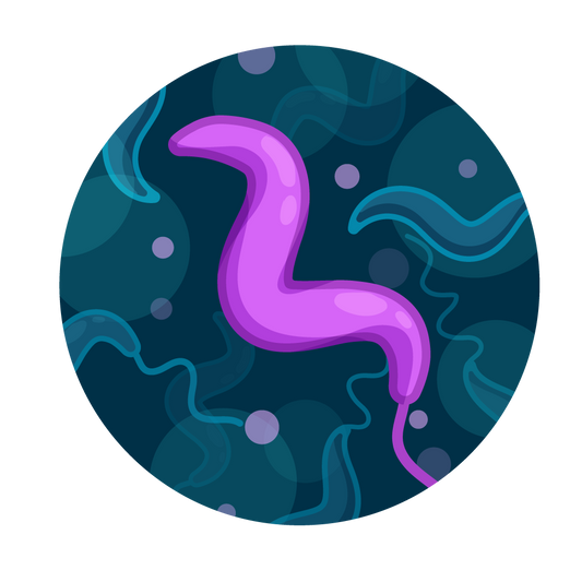 Campylobacter Water Test