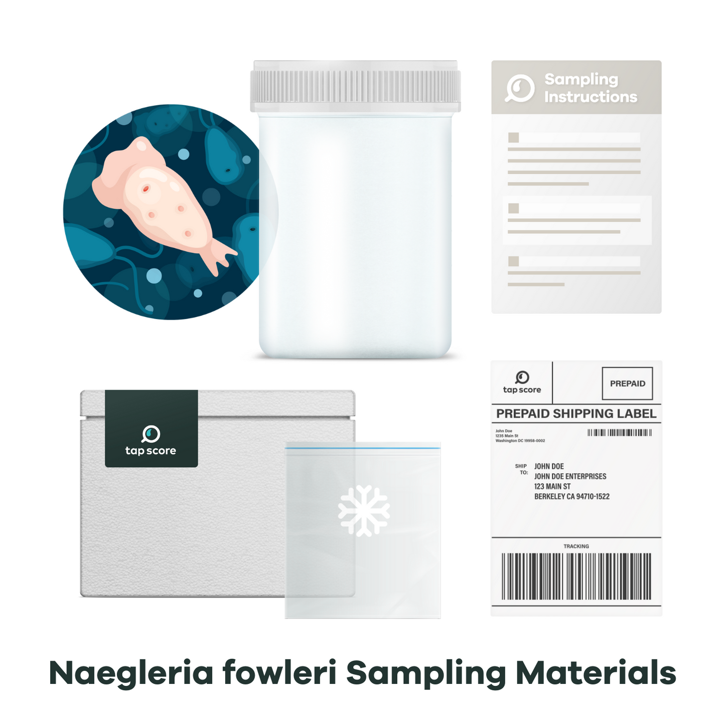 Naegleria Fowleri Water Test