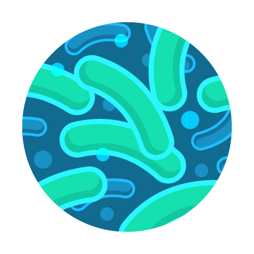 Slime Bacteria Test Kit from Tap Score