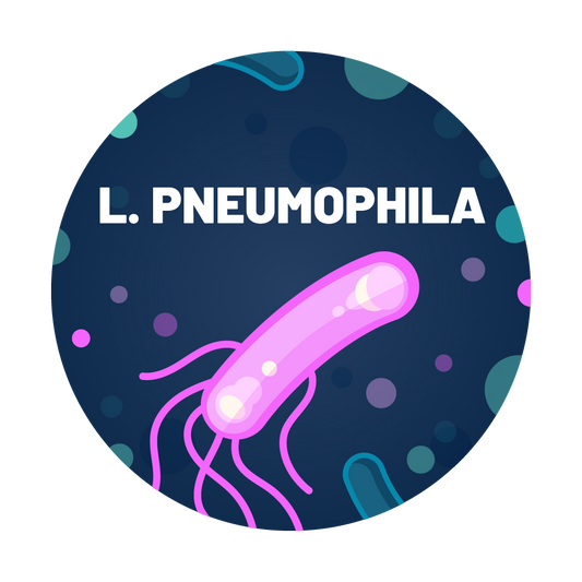 Legionella pneumophila Water Test