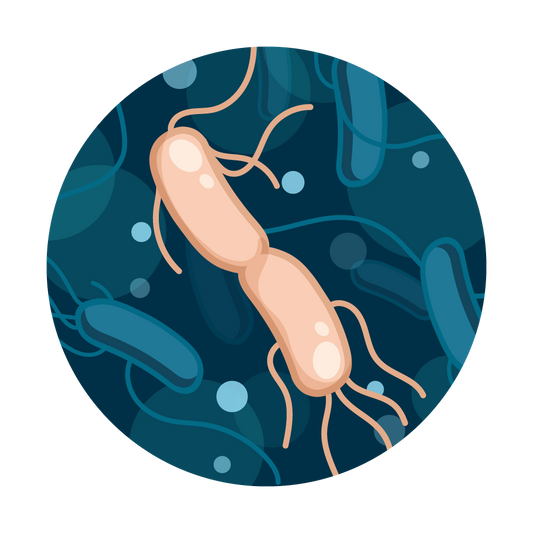 Salmonella Water Test