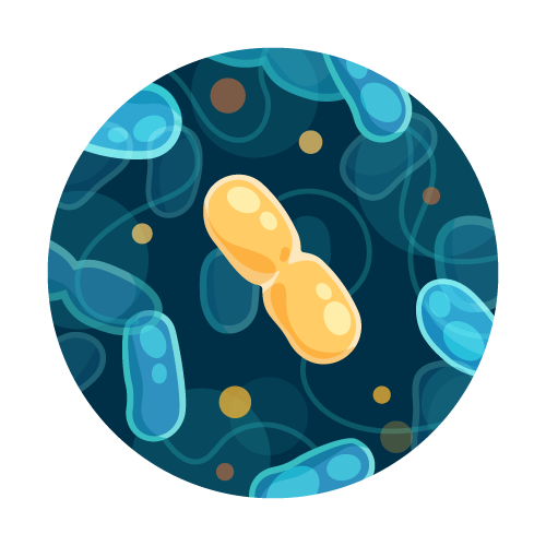 Coliform and E. coli Water Test