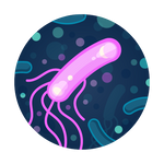 Comprehensive Legionella Water Test