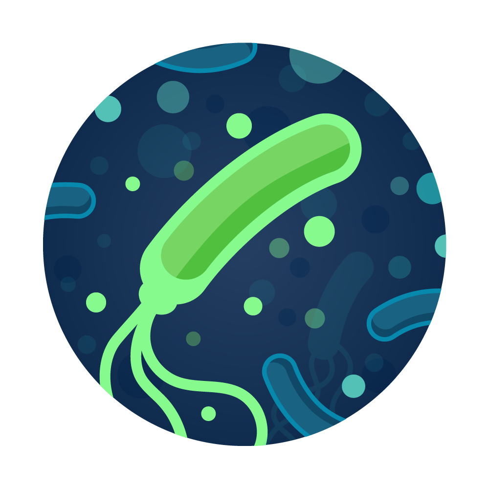 H. pylori Water Test from Tap Score