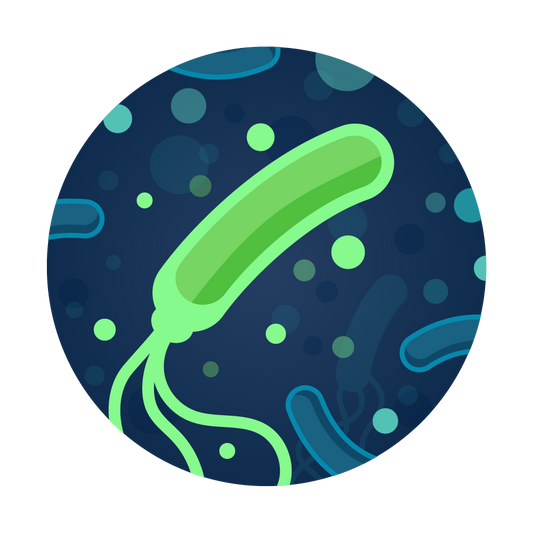 H. pylori Water Test from Tap Score