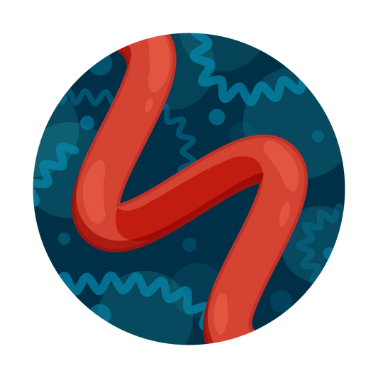 Leptospira Water Test from Tap Score