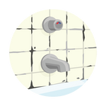 Mold and Fungus Water Test