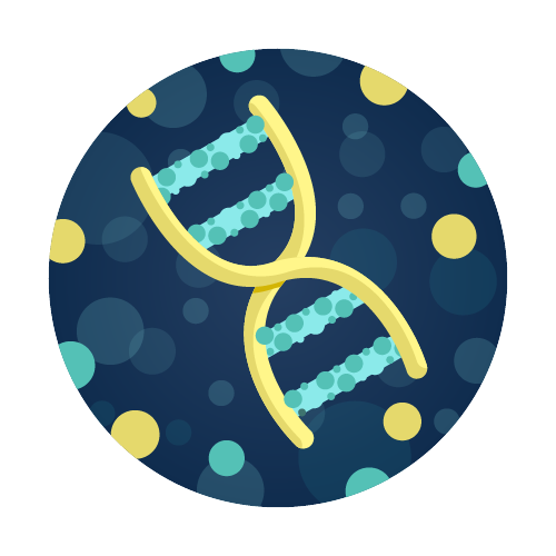 Universal Bacteria Genetic Identification Test