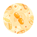 Coliform and HPC Water Test