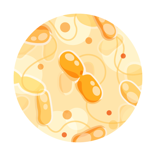 Coliform and HPC Water Test