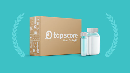 Best water test 2024 - Tap Score