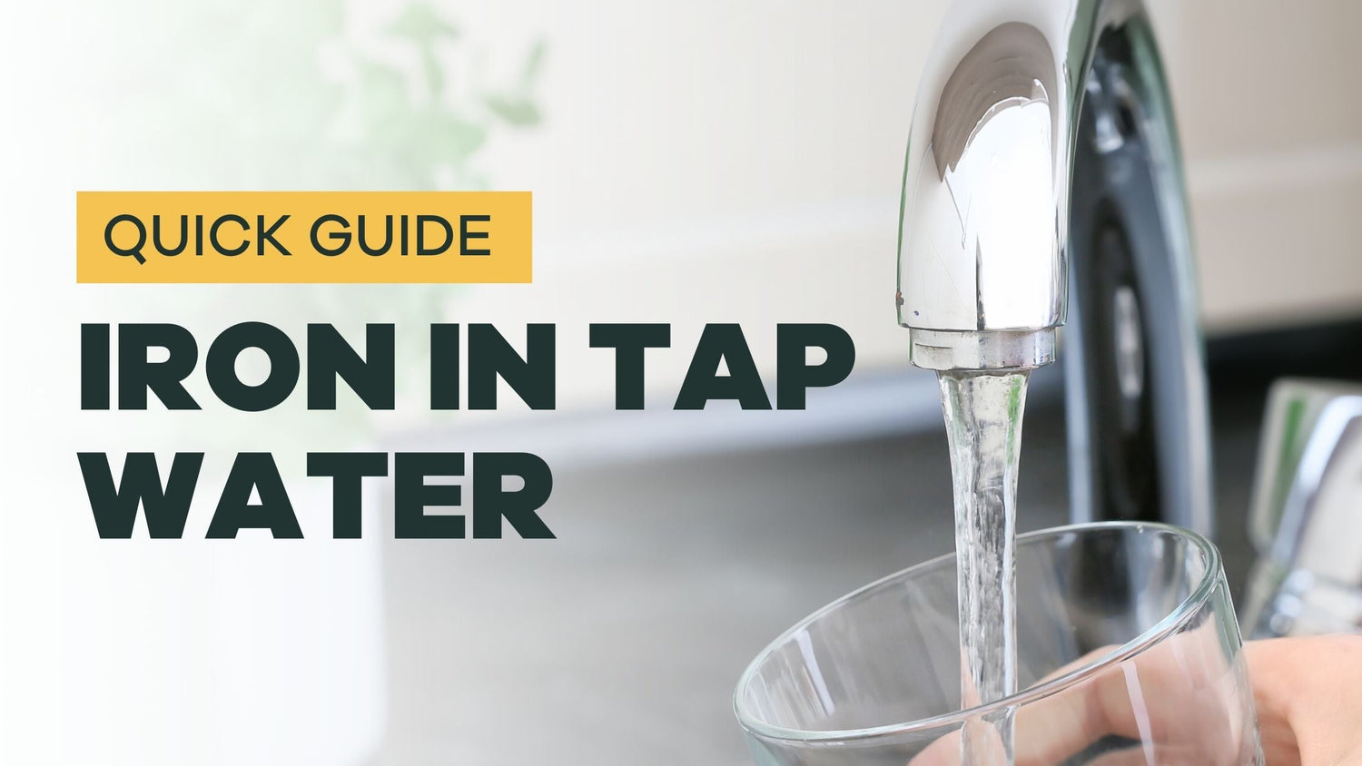 Quick Guide to Iron: What You Need to Know