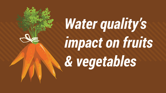 How Water Quality Impacts Your Fruits and Vegetables