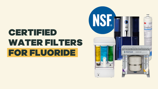 What water filters remove fluoride? - BLG181