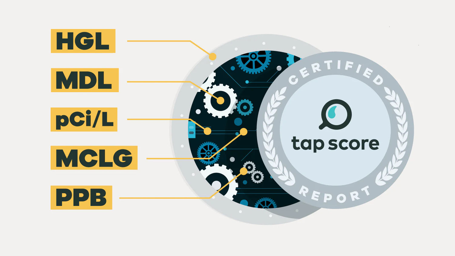 What Common Terms Mean in A Tap Score Report - BLG183