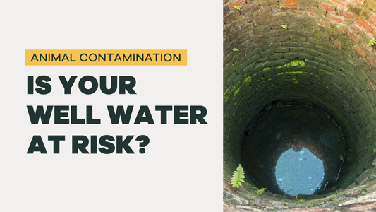 What to do if there's an animal in your well - BLG191