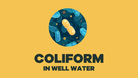 Coliform bacteria in well water - BLG213