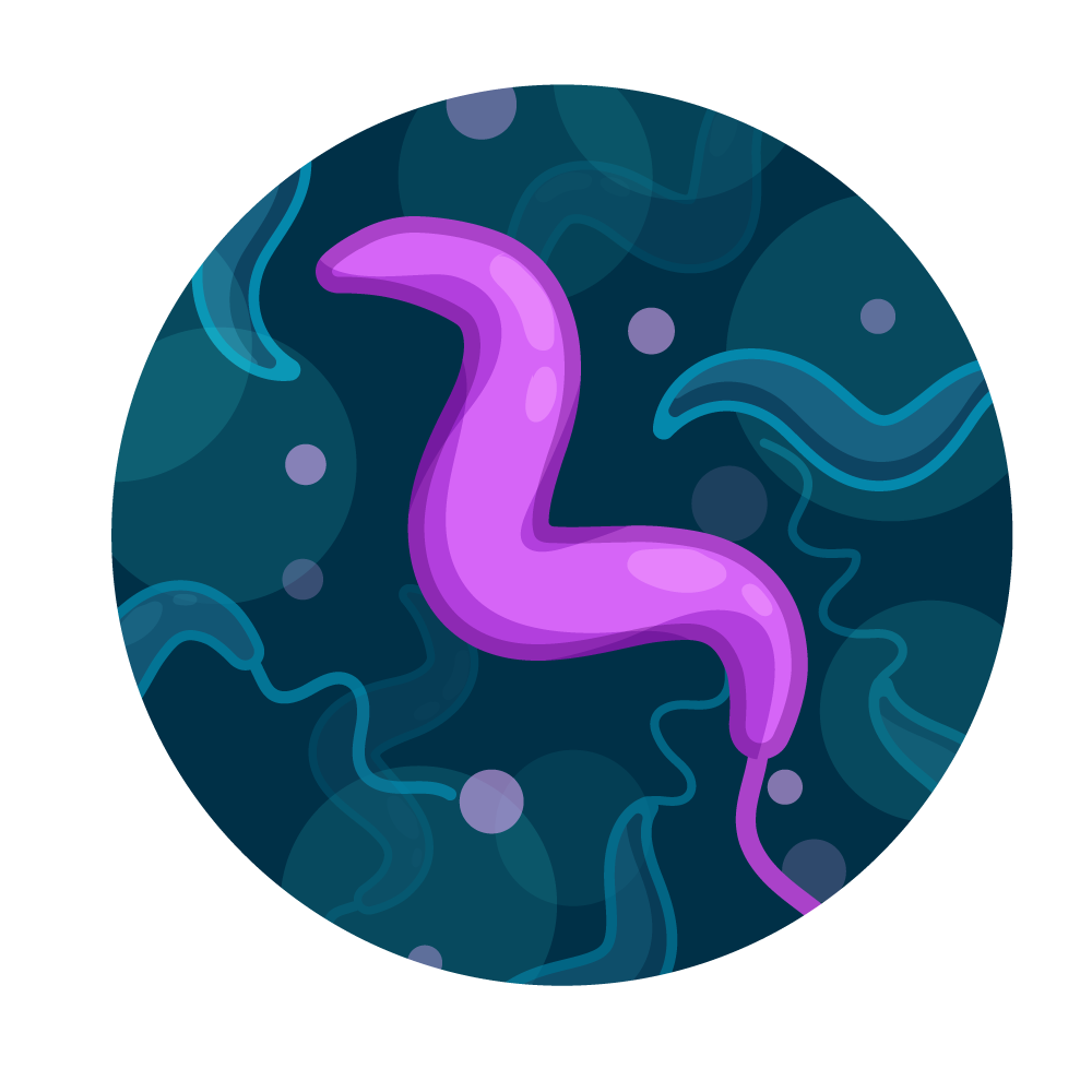 Campylobacter Water Test