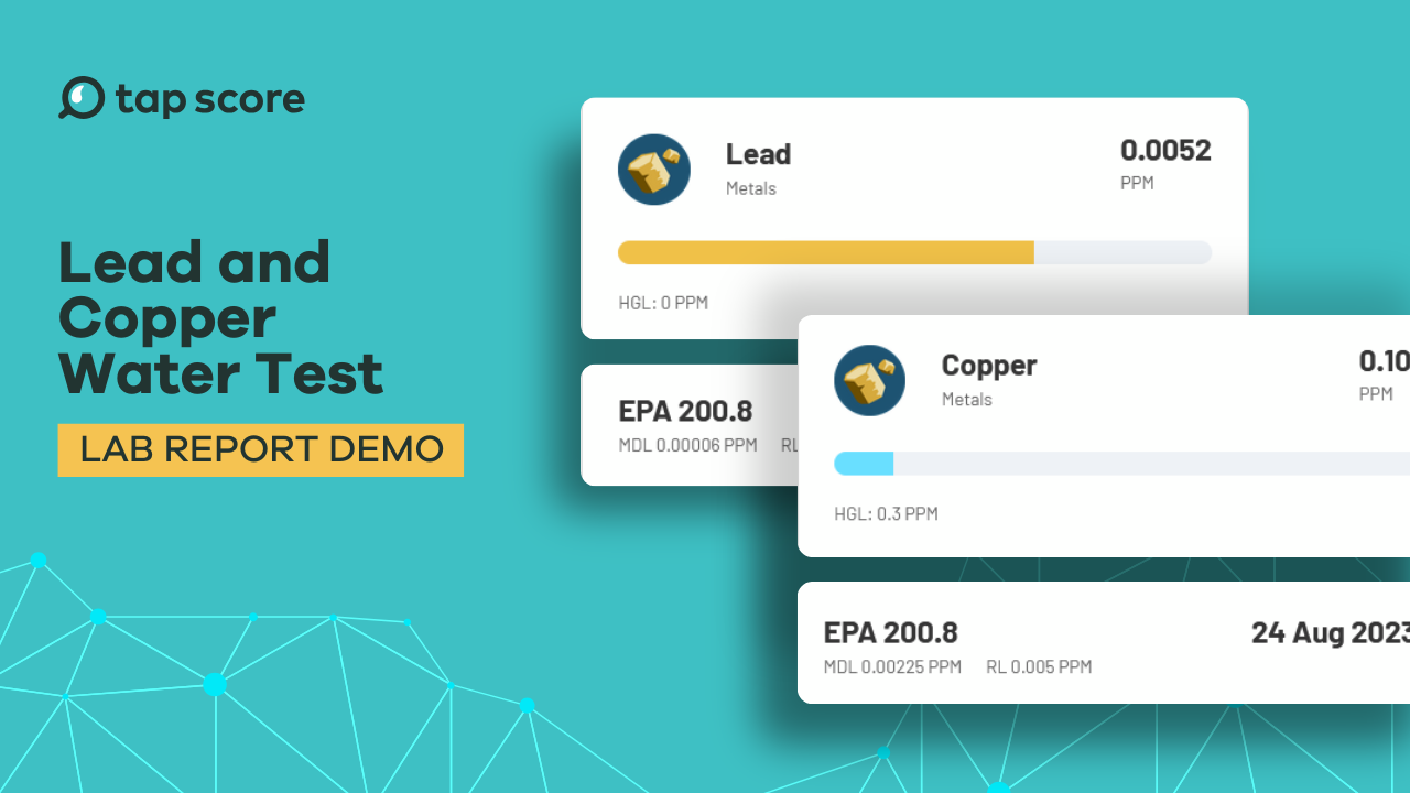 Load video: Lead and copper water test results walkthrough. Lab report demo.