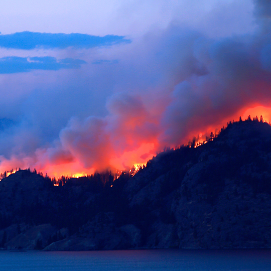 Wildfire