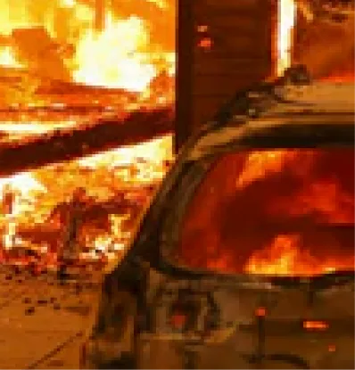 Wildfire