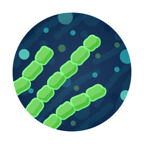 Cyanobacteria Enumeration Drinking Water Lab Test